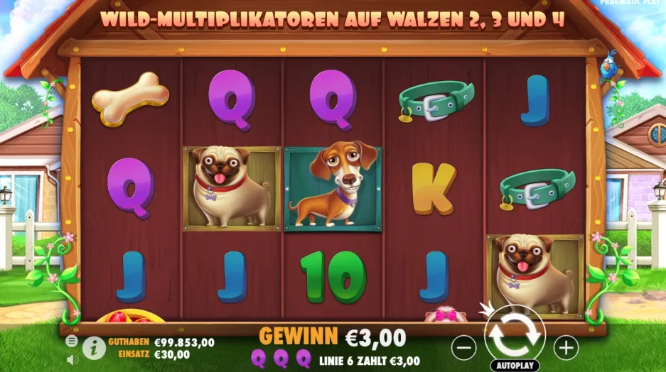 Dog House 1