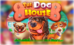 Hundehütte
